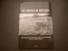 DES CHEVAUX DE BRETAGNE PATRICK HERVE CORNU KERVINIO CHEVAL BRETON