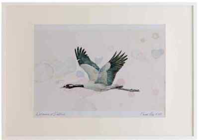 A2 Kranich Erwachsene Bord Aquarell limitierte Auflage Bild gerahmt
