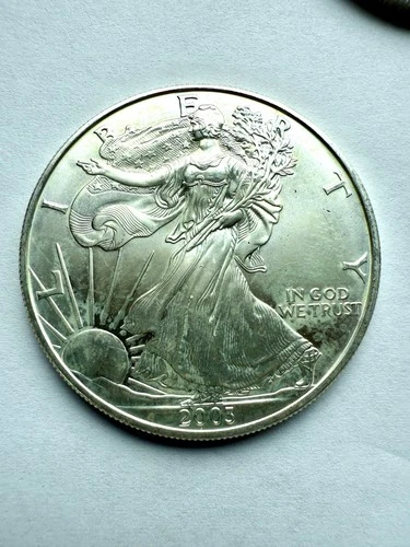 2003 American Silver Eagle 1 Troy Oz .999 Fine Silver - Brilliant finish