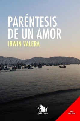 Parntesis de un amor: Poemario de amor by Irwin Valera (Spanish) Paperback Book