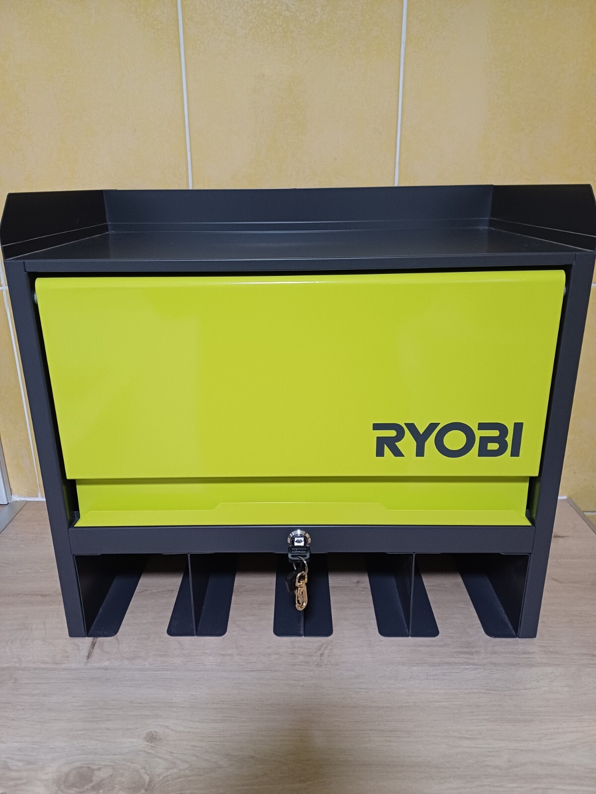 Ryobi Wall Mounted with Door RHWS01 5132004358 eBay