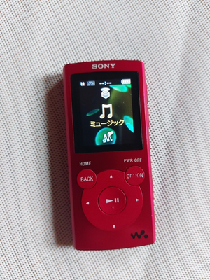 Sony Walkman NW-E062 2GB Digital Music Player - Tested & Working