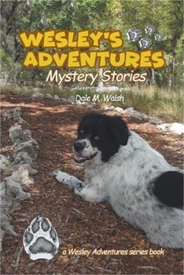 Wesley's Adventures: Mystery Stories (Paperback or Softback)