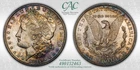 1881 S MORGAN "CAC MS64" - 🌈STUNNING TONING, OBV & REV /LUSTEROUS COLOR- CAC💥✅