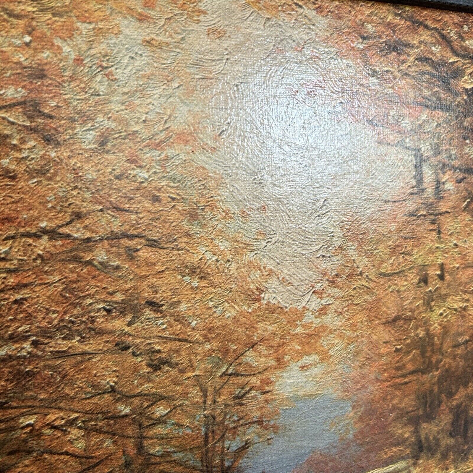 Picture 6 of 13
