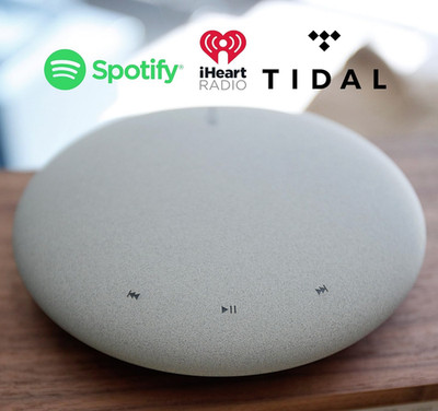 Müzo Cobblestone WI-FI Audio Receiver  incl. OVP 1 Jahr Gewährleistung RARE
