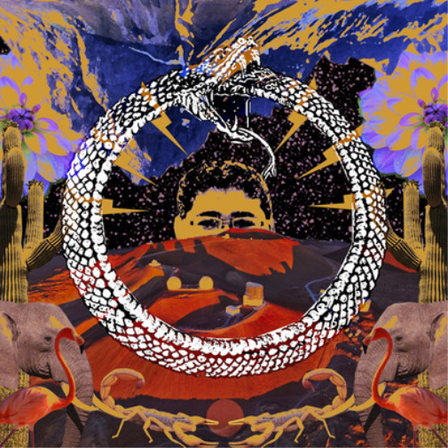 Бесконечный цикл Каменный дом в огне (винил) (ИМПОРТ из Великобритании)