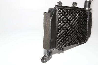 PLAQUE DE CROQUIS Droite Pour Royal Enfield Interceptor 650 2022 EUR 55