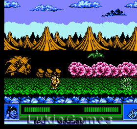 Joe & Mac - Fun NES Nintendo Game