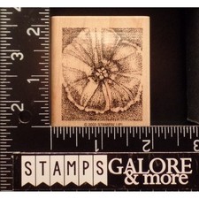 Stampin' Up Rubber Stamps 2003 PERFECT PETALS BOTANICAL STIPPLE BLOSSOM 10