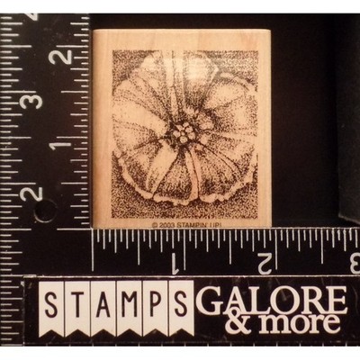 Stampin' Up! Rubber Stamps 2003 PERFECT PETALS BOTANICAL STIPPLE BLOSSOM #10