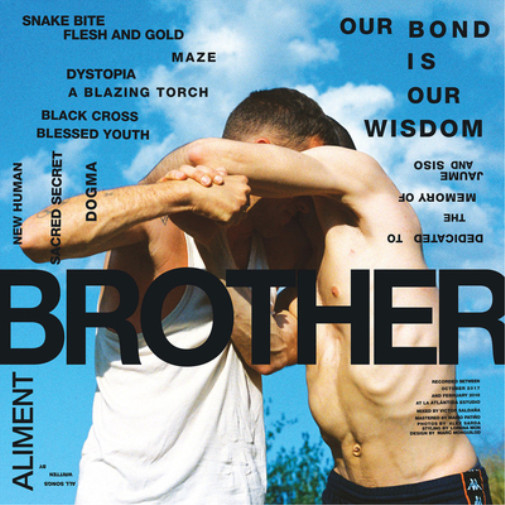 Альбом Aliment Brother (винил) 12 (ИМПОРТИРОВАН из Великобритании)