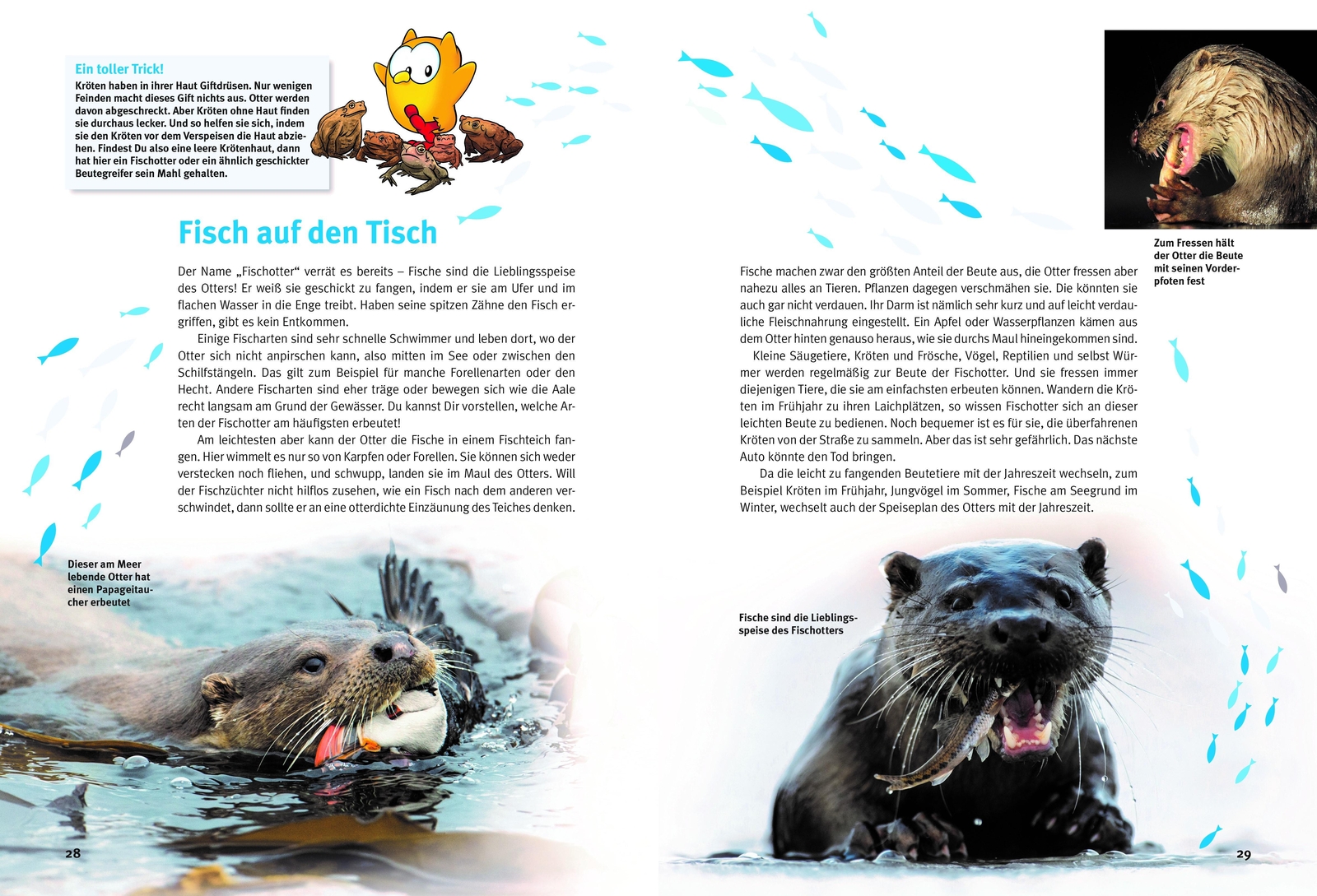 Thumbnail - Entdecke Die Otter, Hans-heinrich Krüger