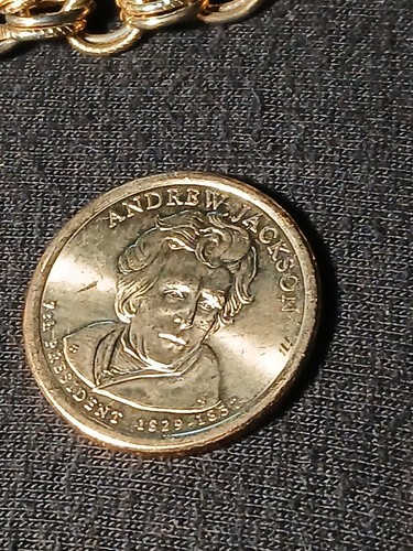 old coin lot《Eisenhower D》《Gold Dollars》《₩orld Coins》《XOX dish》《Necklace》=LOOK= - Picture 5 of 24