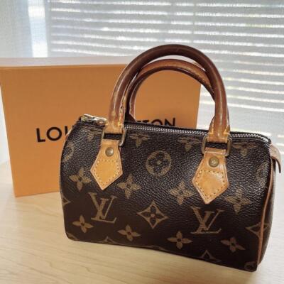 LOUIS VUITTON Monogram Speedy Nano mini Hand Bag Brown Used