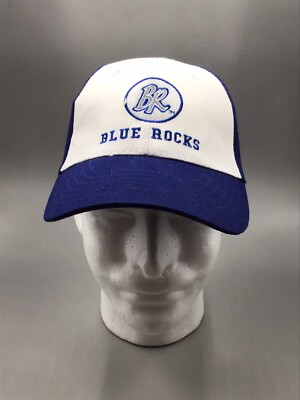 Blue Rocks Delaware Solid Waste Authority Baseball Hat | eBay