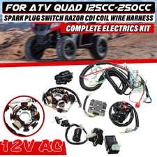 125cc 150cc 250cc ATV QUAD Magnetspule Zündspule Kabelbaum CDI Gleichrichter Kit