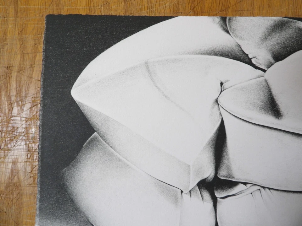 James Butler "Sponge-Cake" LITOGRAFÍA EN COLOR ESTUDIO JUNTO AL LAGO 1971 Foto 3 de 4