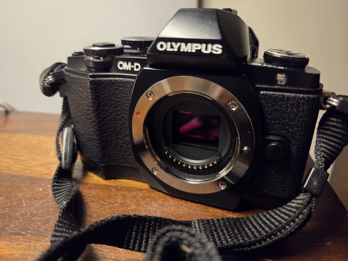 Olympus OM-D E-M10 Digital Cameras with Wi-Fi for Sale | Shop New