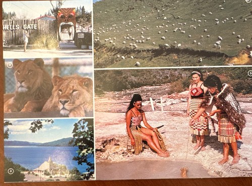 ROTORUA NEW ZEALAND “A Scenic Souvenir” 14 Page Color Brooklet Maori 1980s - Picture 2 of 5