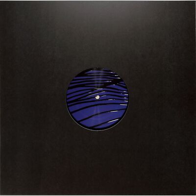 Kas:st / VOYAGE OF TIME (REPRESS) / Flyance / FLY009 / 12 Inch