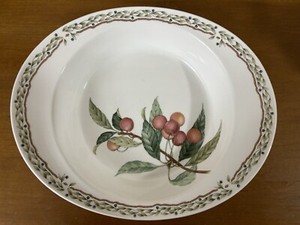 Noritake Royal Orchard 9 3/4” x 8 1/4" Oval Augratin Casserole Baking Dish Fruit
