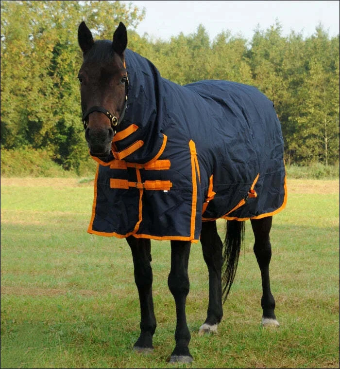 Equine Products UK Arkle schwere Weidedecke voller Hals - Bild 3 von 4
