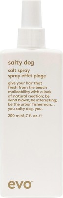 2 PACKS EVO Salty Dog Salt Spray 200ml. CANADA FAST SHIPPING