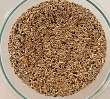 Higgins Supreme canary diet food seed mix oats hemp canola flax seeds