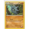 Pokémon Pupitar Fates Collide 42/124 EN Regular