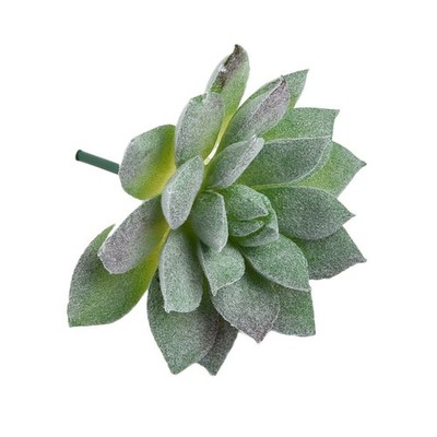 Laub Pflanzen Startseite Topf Blume Echeveria Floral Garten Künstliche