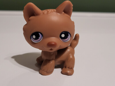 Littlest Pet Shop HASBRO - Chiens #785 Et #900 - Originaux Et Authentiques
