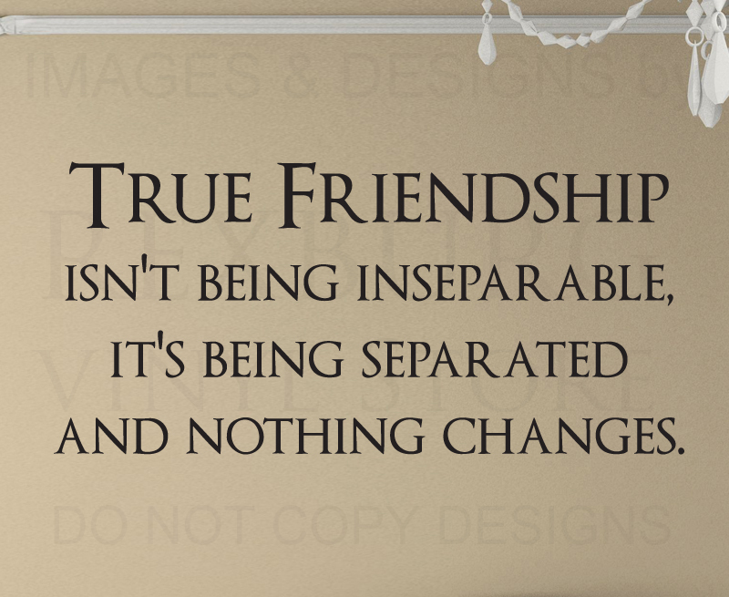 Vinyl Wall Decal Sticker Friendship Quote Friends Aren't Inseparable FR21