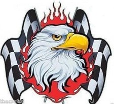 CHECKERED FLAG EAGLE FLAMES HELMET BUMPER STICKER DECAL MADE IN USA
