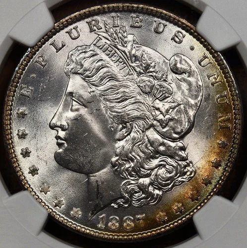 1887 V.12A DDO Gator Eye Morgan dollar, NGC MS65 DKRC's DOLLAR DEAL WEDNESDAY!!!