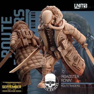 Roadseter Ronin #2 / 1:16