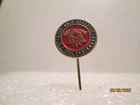 Firefighters' competition Vrginmost Croatia  pin
