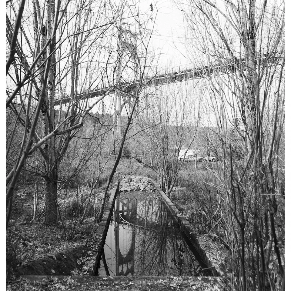 Película en blanco y negro Fomapan Action 400 ISO 120 *RECIÉN FECHADA* Foto 2 de 3