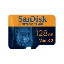 SanDisk 128GB microSDXC UHS-I Card with Adapter, Single Pack- SDSQXAA-128G-GN6VA
