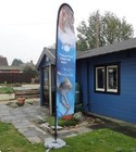 Picture 4 of 8