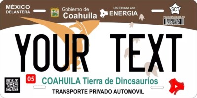 Coahuila 2016 Custom State License Plate Personalized 12''x6'' Size