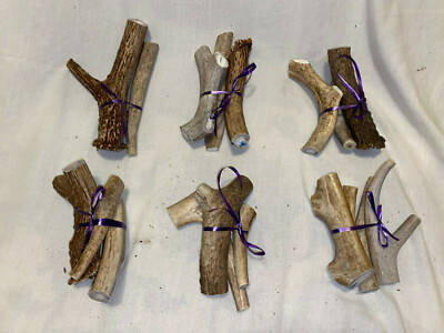 2 Pounds/ Bundles of Antlers for Dog Bones/ Chew Toys