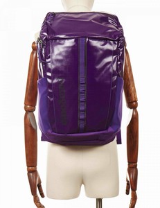 23l patagonia hole purple pack