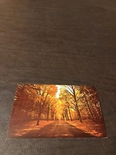 UNPOSTED POSTCARD - LETCHWORTH STATE PARK - MOUNT MORRIS - N.Y.......SLOT 147