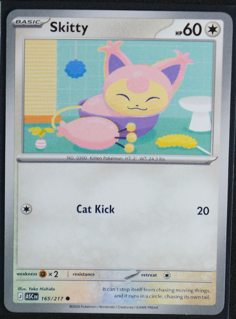 Skitty  Common #165/217 ME: Ascended Heroes  NM