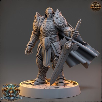 Protectors of the Cleansing Fire   Paladine 28mm   Proxy f. WH D&D Einzel