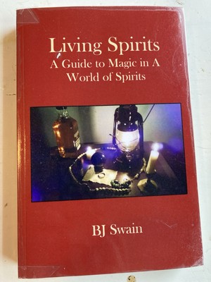 Living Spirits: A Guide to Magic in a World of Spirits by Swain, BJ