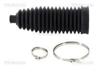 Triscan 8500 11005 Faltenbalgsatz, Lenkung FüR BMW