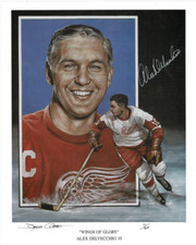 Detroit Red Wings Collecting and Fan Guide 78