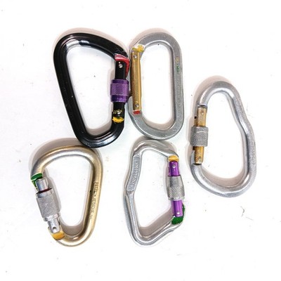 Carabiners Lot 5 ~ PETZL Attache EN362 / BLACK DIAMOND Screwgate 7KN / BELAY + +